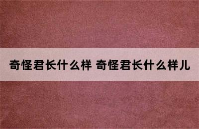 奇怪君长什么样 奇怪君长什么样儿